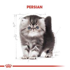 Royal Canin Kitten Persian Yavru Kedi Maması 2 kg