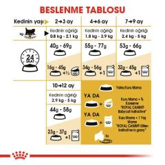 Royal Canin Kitten Persian Yavru Kedi Maması 2 kg
