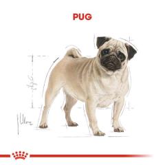 Royal Canin Pug  Irkı Özel Köpek Maması 1,5 kg