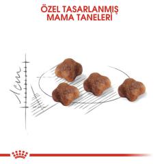 Royal Canin Mother BabyCat  Yavru Kuru Kedi Maması 2 Kg
