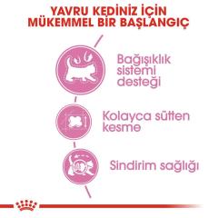 Royal Canin Mother BabyCat  Yavru Kuru Kedi Maması 2 Kg