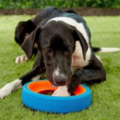 Chuckit! Fetch Wheel Oyun Halkası
