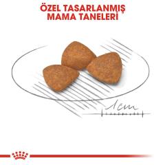 Royal Canin XSmall Ageing +12  Köpek Maması 1,5 kg
