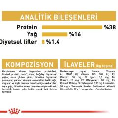 Royal Canin Siamese Yetişkin Kedi Maması 2 Kg