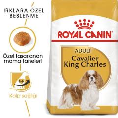 Royal Canin Cavalier King Charles  Yetişkin Köpek Maması 3 kg