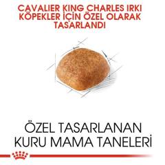 Royal Canin Cavalier King Charles  Yetişkin Köpek Maması 3 kg