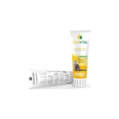 Zoo Vital Malt Paste Tüy Yumağı Kontrol Kedi Macunu 100 Gr