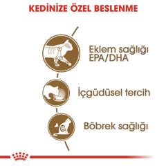 Royal Canin Gravy Ageing +12 Kedi Maması 85 Gr