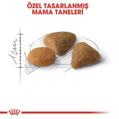 Royal Canin Savour Exigent  Kuru Kedi Maması 2 Kg