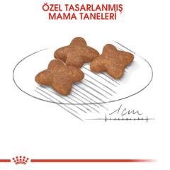 Royal Canin Mini Adult Köpek Maması 2 kg
