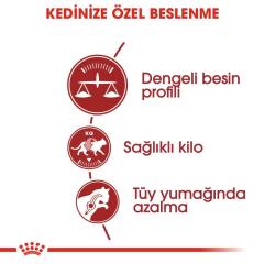 Royal Canin Fit 32  Kuru Kedi Maması 15 Kg