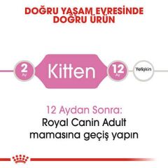 Royal Canin Kitten Yavru Kuru Kedi Maması 10 Kg