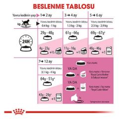 Royal Canin Kitten Yavru Kuru Kedi Maması 10 Kg