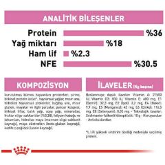 Royal Canin Kitten Yavru Kuru Kedi Maması 10 Kg