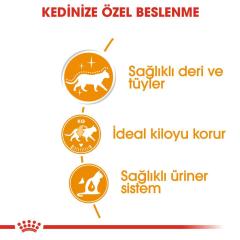 Royal Canin Intense Beauty Gravy Yaş Kedi Maması 85 gr