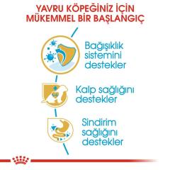 Royal Canin Cavalier King Charles Yavru köpek Maması 1,5 kg