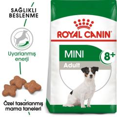 Royal Canin Mini Adult +8 Yaş Yaşlı Köpek Maması 2 kg