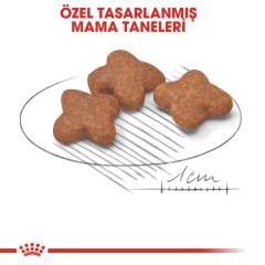 Royal Canin Mini Adult +8 Yaş Yaşlı Köpek Maması 2 kg