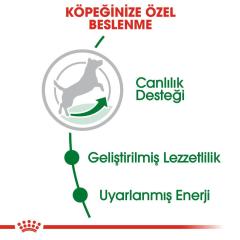 Royal Canin Mini Adult +8 Yaş Yaşlı Köpek Maması 2 kg
