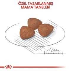 Royal Canin Mini Puppy Yavru Köpek Maması 4 Kg