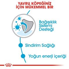 Royal Canin Mini Puppy Yavru Köpek Maması 4 Kg
