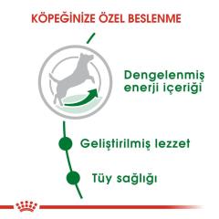 Royal Canin Mini Adult Köpek Maması 8 kg