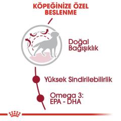 Royal Canin Medium Adult 15 kg