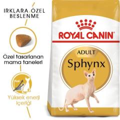 Royal Canin Sphynx Yetişkin Kedi Maması 2 Kg