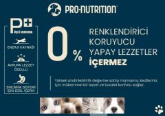 Pro Nutrition Prestige Adult Mini Yetişkin Köpek Maması 3Kg