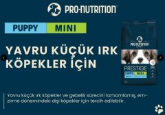 Pro Nutrition Prestige Puppy Mini Küçük Irk Yavru Köpek Maması 3Kg