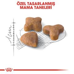 Royal Canin Sensible 33 Kuru Kedi Maması 4 kg
