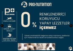 Pro Nutrition Prestige Adult Somonlu Yetişkin Köpek Maması 12Kg