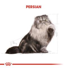 Royal Canin Persian Yetişkin Kedi Maması 2 Kg