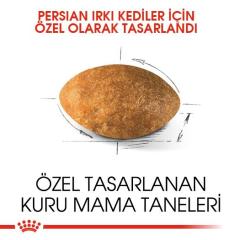 Royal Canin Persian Yetişkin Kedi Maması 4 Kg