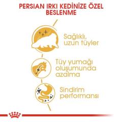 Royal Canin Persian Yetişkin Kedi Maması 4 Kg