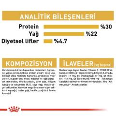 Royal Canin Persian Yetişkin Kedi Maması 4 Kg