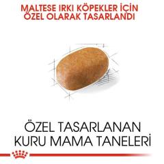 Royal Canin Maltese Bichon Yetişkin Köpek Maması 1,5 kg