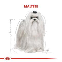 Royal Canin Maltese Bichon Yetişkin Köpek Maması 1,5 kg