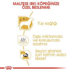 Royal Canin Maltese Bichon Yetişkin Köpek Maması 1,5 kg