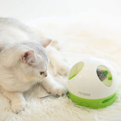 GiGwi Saklanan Fare Kedi Oyuncağı