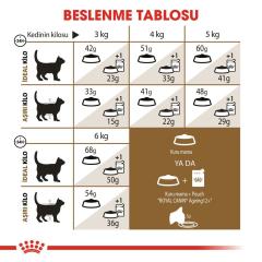 Royal Canin Ageing 12+ Yaşlı Kuru Kedi Maması 2 kg