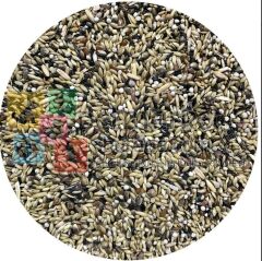 Vividbird Karışık KANARYA Yemi 20 Kg