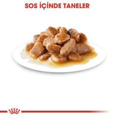 Royal Canin Gravy Ageing + 12 Köpek Maması 85 Gr