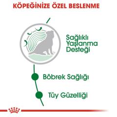 Royal Canin Gravy Ageing + 12 Köpek Maması 85 Gr