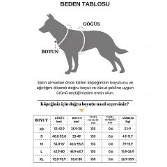 Hesperus Kendinden Gezdirmeli Çok Yönlü Uzatılabilir Köpek Göğüs Tasması (Yeni Nesil) X-LARGE