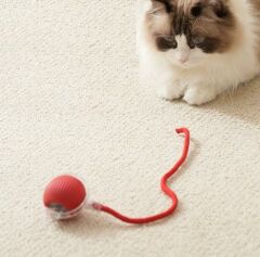 Hesperus İnteraktif İpli Kedi Oyuncağı 7 Cm