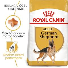 Royal Canin Alman Kurtları İçin Yetişkin Köpek Maması 11 Kg