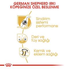 Royal Canin Alman Kurtları İçin Yetişkin Köpek Maması 11 Kg