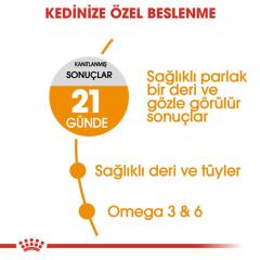 Royal Canin Hair&Skin Hassas Tüylü Kediler İçin Mama 4 kg