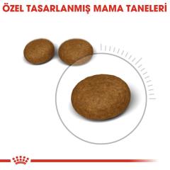 Royal Canin Hair&Skin Hassas Tüylü Kediler İçin Mama 2 kg